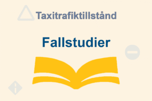 Fallstudier